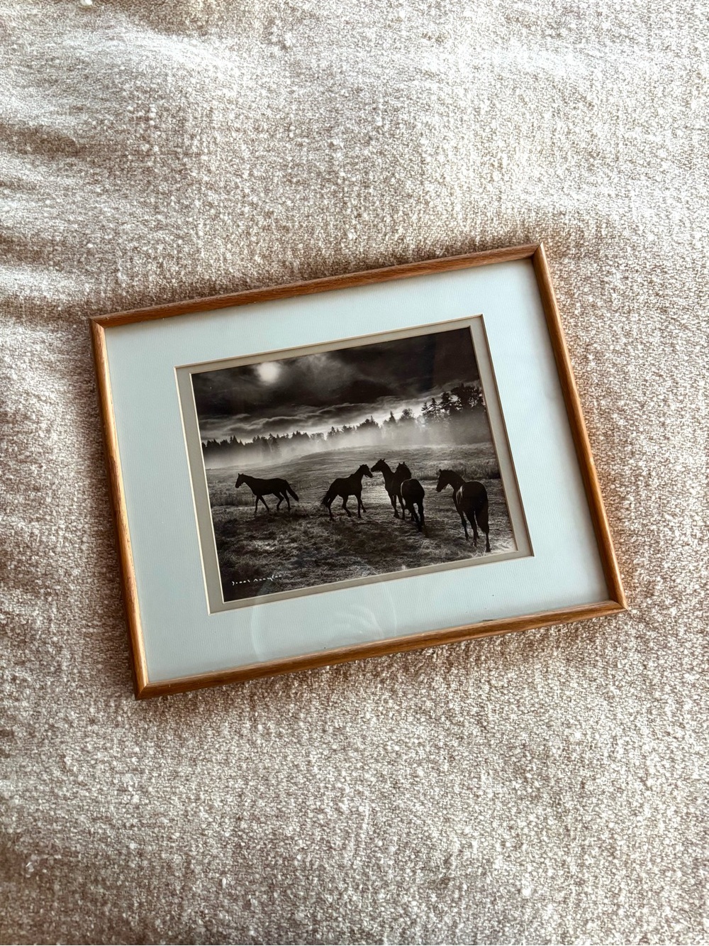 1964 “Horses in a Misty Field” by Josef Scaylea